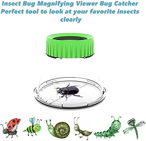 Bug Viewer for Kids 5X Magnifying Insect Observation Kit Built-in 7cm Ruler with 2 Slant Tweezers Bug Viewer Catcher Cage for Kids Science Nature Exploration (2 Pack Green), LX-4LS - Image 3