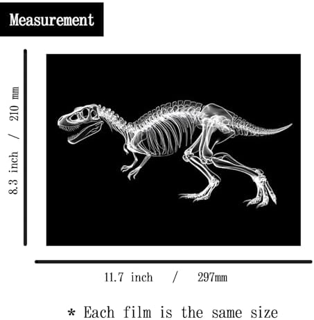 Animal X-Ray Set, Educational Science Kit, Light Table Accessory for Children (Dinosaurs) - Image 3