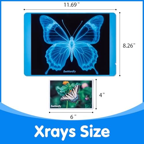Insect Xrays – Bug Science Kit - Light Table Accessories - Image 3