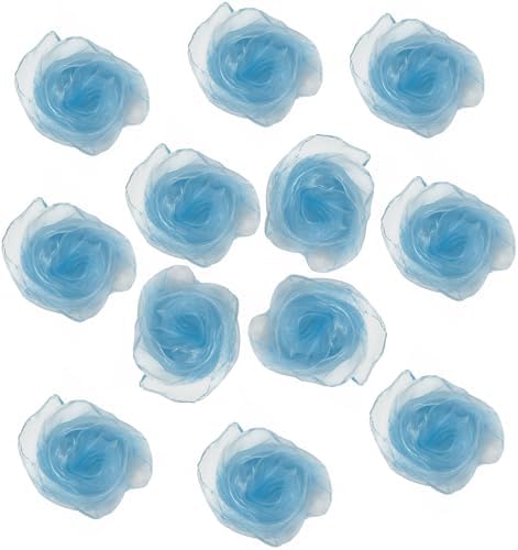 Dance Scarves 12 Pcs Juggling Scarves for Kids Play Silk Scarve for Babies Toddlers Children Movement Learning Education Musical Accessories Colorful Scarfs Magic Tricks Performance (Light Blue) by Lolakee