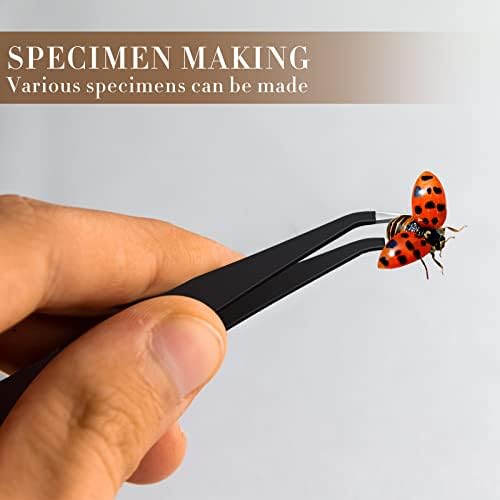 Taiyin 14 Pcs Insect Pinning Tools Kit, Clear Insect Display Case - Image 6