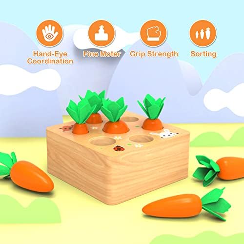Wdmiya Montessoritoys for 1 Year Old, Wooden Toys Developmental - Image 5