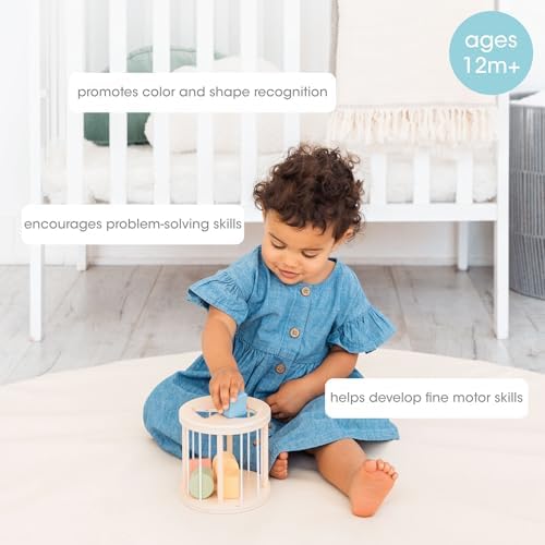 Pearhead Wooden Match and Roll Shape Sorter - Ages 12m+ - Image 4
