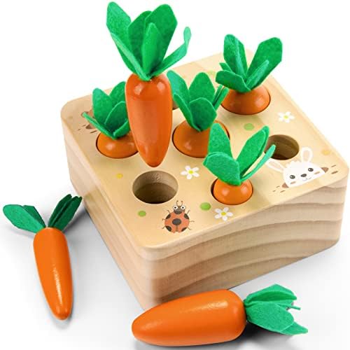 Wdmiya Montessoritoys for 1 Year Old, Wooden Toys Developmental by Wdmiya