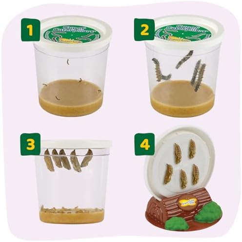 Insect Lore Butterfly Garden with All-Inclusive Voucher to Redeem Caterpillars, Ultra-Clear Dome Habitat - Butterfly Raising Kit, Raise 5 Painted Lady Butterflies from USA - Image 2