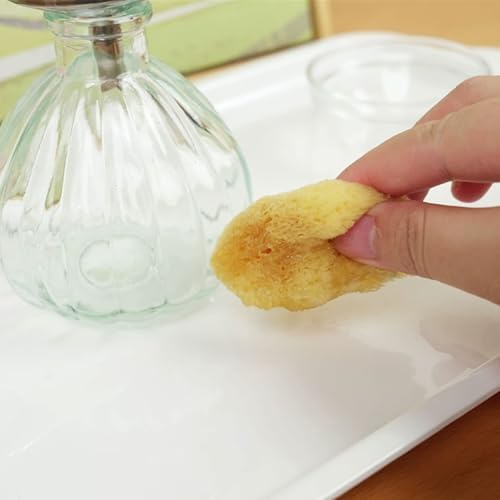 Montessori Practical Life Pouring Water Activity Set - Image 3