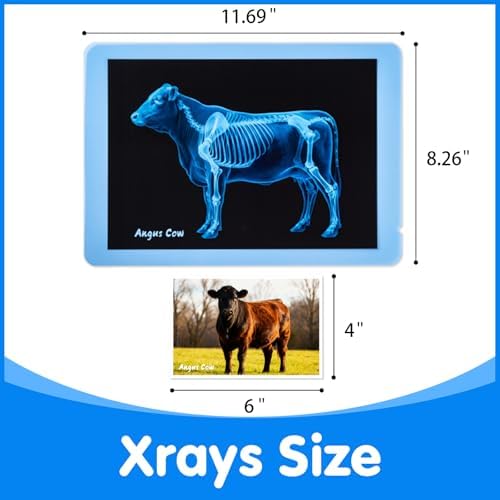 10 Pcs Farm Animal Xrays - Light Table Accessories - Image 7