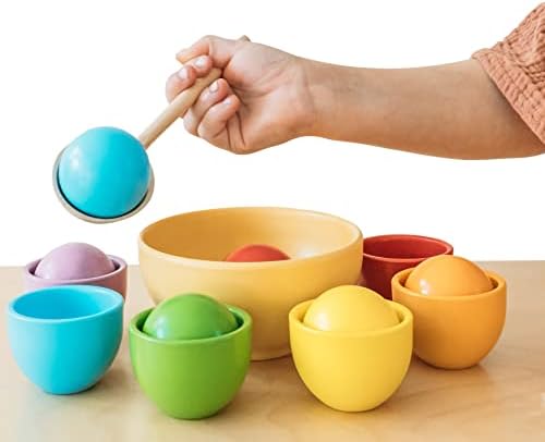 Montessori Large Rainbow Colored Sorting Ball in Cup | Preschool Color Matching Toy | Gross Motor Transfer Activity | 6 Toddler Safe Wooden Balls 46mm in Diameter - Non-Choking-Hazard by MontessoriMe