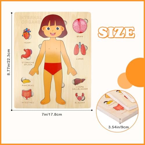 Wooden Body Puzzles for Kids, Toddler Montessori 14 Pieces Girl Anatomy Puzzle, Human Body Learning Toy with Internal Organs Early STEM Educational Toy for Boys and Girls Ages 3 4 5 6 Years Old - Image 4