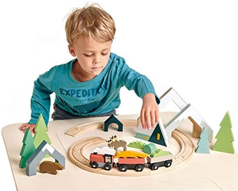 Tender Leaf Toys - Treetops Train Set - Beautiful Wooden Toy Train Set Kids - Intelligent and Imaginative Play Skills for Age 3+ - Image 4