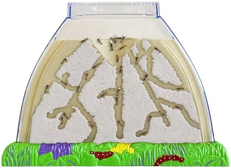 Insect Lore Ant Hill - Ant Habitat with Voucher to Redeem Live Western Harvester Ants - STEM Learning and Education Project for Classrooms or Homeschool - Image 4