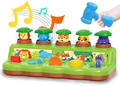 FS Pop Up Toy for 1 Year Old, Cause and Effect Learning Toy by FiveStarToys