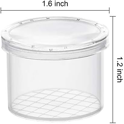 Coopay 80 Pieces Bug Viewer Critter Insect Cage Magnifying Insect Box Bug Magnifier Container Catcher Cage, Science Nature Exploration Tools - Image 3