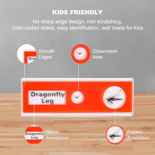 48 Prepared Microscope Slides Set of Animals Insects Plants Flowers, Biological Learning Resource Specimens for Kids Beginner Classroom Basic Science Education - Image 5