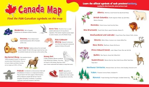 MasterPieces Educational - Canada Map 36 Piece Floor Puzzle - Jigsaw Puzzle with Vibrant Artwork and Durable Pieces - Fun Family Activity Brain Challenge and Educational Entertainment - Image 5