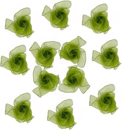 Dance Scarves 12 Pcs Juggling Scarves for Kids Play Silk Scarve for Babies Toddlers Children Movement Learning Education Musical Accessories Colorful Scarfs Magic Tricks Performance (Army Green) by Lolakee