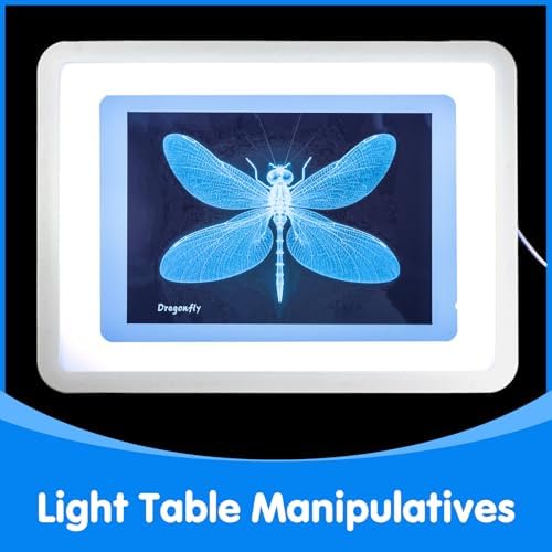 Insect Xrays – Bug Science Kit - Light Table Accessories - Image 6