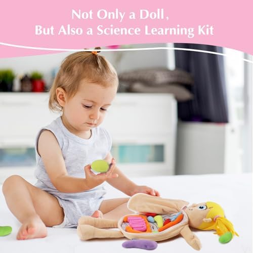vocheer Human Body Anatomy Toy, Montessori Preschool Educational Organ Plush Toys for Kids, Science Learning Kits for Student, Body Organ Awareness Teaching Tools for Girls - Image 2
