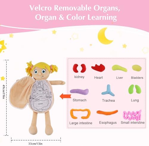 vocheer Human Body Anatomy Toy, Montessori Preschool Educational Organ Plush Toys for Kids, Science Learning Kits for Student, Body Organ Awareness Teaching Tools for Girls - Image 6