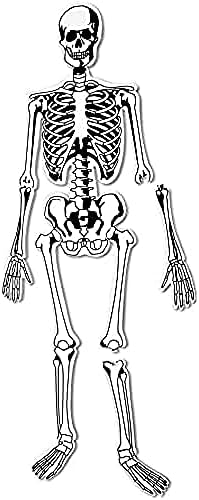 Learning Resources Skeleton Floor Puzzle by LearningResources
