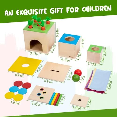 Adena Montessori 6 in 1 Play Kit Toy- 3 Nesting & Stacking Boxes, Object Permanence Drop Game, Coin Box, Carrot Harvest,Tissue Box,Sticks Matching Game for 6-12 Months 1 Year Old Toddlers 2 Year - Image 5
