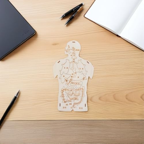 3pcs Human Body Model Wooden Puzzle, Science Kit for Cognitive Education and Collaborative Learning, Beige Color, for Family Playtime and Home Use - Image 7