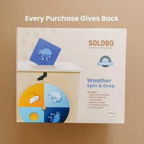 Weather Spin & Drop | Best Toys for 18 Months and Up, Explore The Weather, Educational Wooden Weather Toy, Changing Seasons, Toddler Science Toys, Weather Toys, Learning Through Play Preschool - Image 4