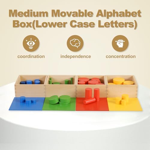 MONTESSORI OUTLET Knobless Cylinders (Set of 4) for 3-6 Years Montessori Education at School and Home - Image 2