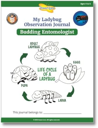 Insect Lore Ladybug Land | Ladybug Growing Kit Habitat | Redeem Voucher For Live Ladybug Larvae - Image 3
