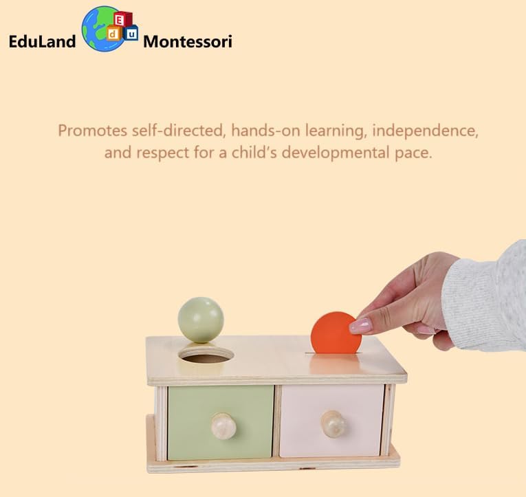 Coin & Ball Drop Box – Wooden Push/Pull Posting Toy for Toddlers, Object Permanence, Sorting, Pincer Grasp, Fine Motor Skills, Practical Life Toy for Kids Ages 3–6 - Image 4