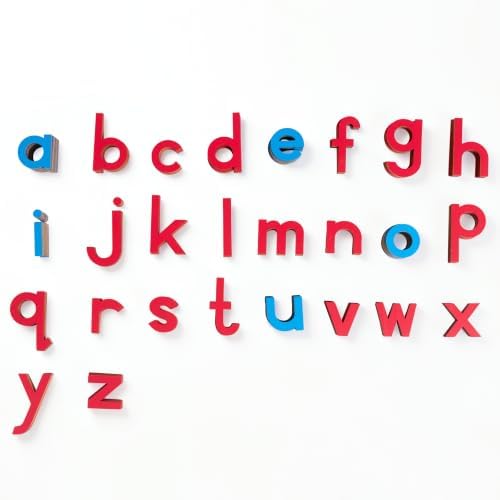 Premium Montessori Small Moveable Alphabet – 255 Red & Blue Print Letters in Wooden Box, Phonics & CVC Word Building Set, Early Reading Language Materials for Kids 3-6, Homeschool Classroom - Image 5