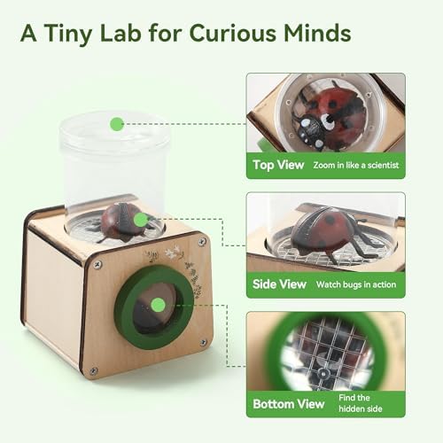 Wooden Bug Catcher for Kids, Tri-View Bug Viewer Kit, Top & Bottom Magnifiers, Insect Observation Container with Tweezers, Ruler & 10 Insect Cards, STEM Outdoor Explorer Toy - Image 2