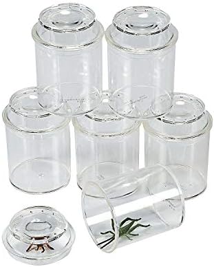 Fun Express See-Through Bug Box Jars, Clear, 10 Pieces by FunExpress