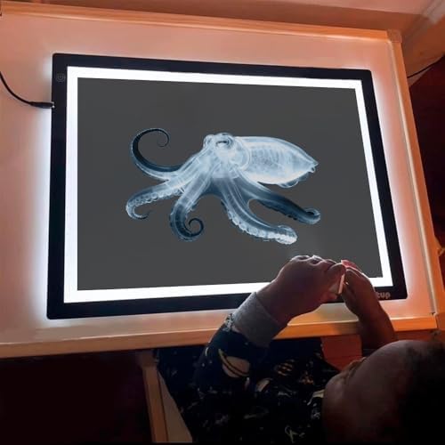 16 Animal X-Ray Set, Educational Science Kit for Kids to Explore Bone Structures for Lightstand Accessories, Light and Shadow Areas (Ocean Series) - Image 5
