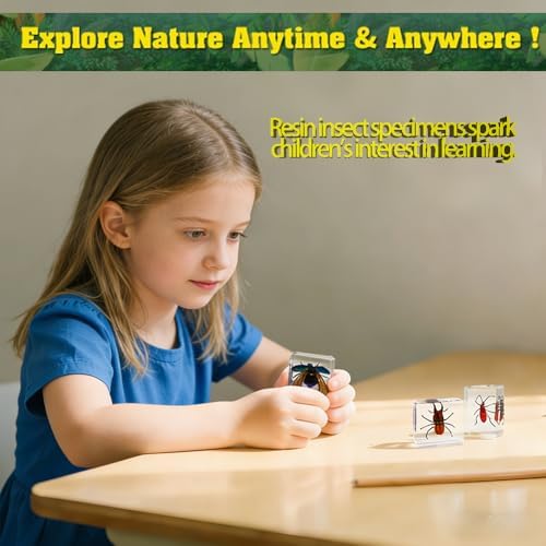 Insect in Resin Collection,Educational Bugs Specimen Set for Kids,Perfect for Preschool,Classroom Science and Home Displays (20 Insect Styles) - Image 4