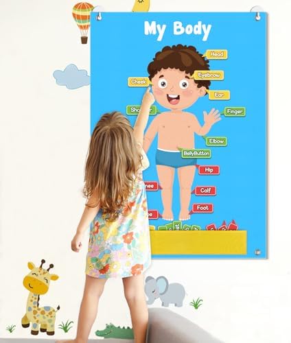 AKAYOK 36 Pcs Body Parts for Kids Felt Board for Toddlers Preschool Learning Activities Interactive Human Body for Kids Human Organ Educational Toys for 2 Year Old Felt Wall Activities for Toddlers by AKAYOK