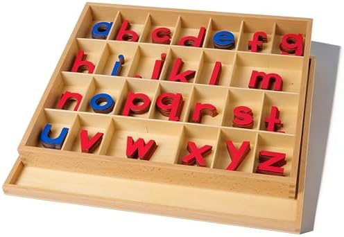 Premium Wooden Movable Alphabet 15in 2.5 lbs,155 Lowercase Letters with Beechwood Box,Montessori Toys Red Blue Letters for First Writing Reading Homeschool Language Material Small Movable Alphabet - Image 5