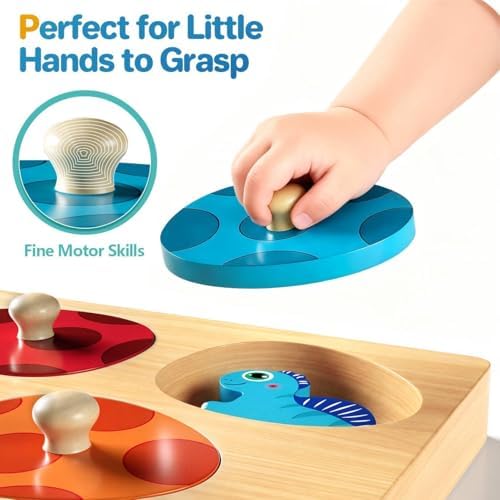 Montessori Toys for 1 Year Old Boys Girls Gifts: Wooden Shape Sorter & Color Match Baby Puzzles 12-18 Months - Dinosaur Matching Eggs Peg Puzzle for 1 2 Year Old Toddler Learning Activities - Image 4