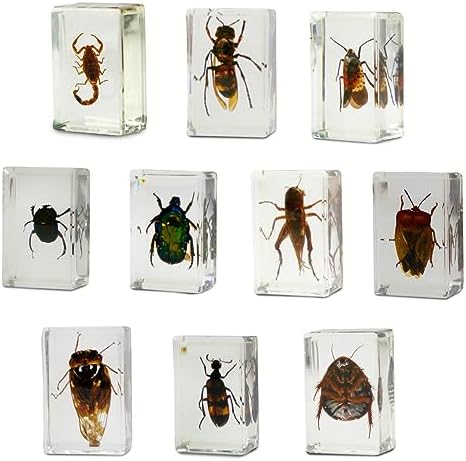 Geoworld 10 Insect Specimens Set - Real Beetles, Scorpions, Crickets in Resin with Magnifying Glass & Booklet - Great for Science Projects - Kids Scientific Educational Toy - Image 2