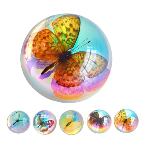 Real Butterfly Specimen in Resin,Insect Specimens for Education - Image 8