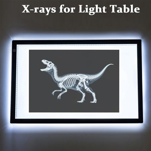 16 Animal X-Ray Set, Educational Science Kit for Kids to Explore Bone Structures for Lightstand Accessories, Light and Shadow Areas (Dinosaur Series) - Image 6