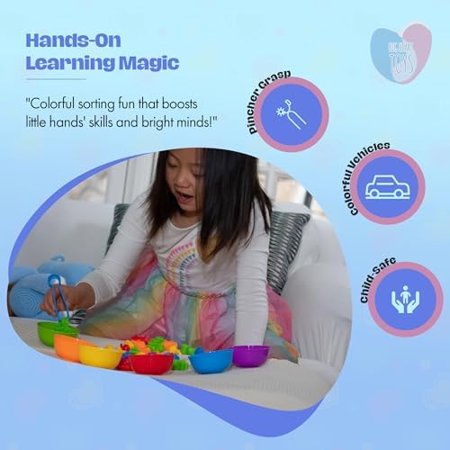 Montessori Sorting Toy for Toddlers– Fine Motor Skills, Sensory Bin & Preschool Learning Toys, Color Sorting Toys for Kids 3-5 Years, Learning Activities and Early Educational Toy - Image 2