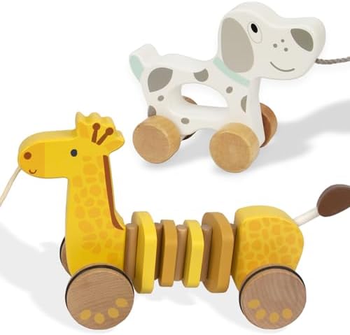 2 Pcs Baby Toys Car,Wooden Pull Along Toddler Toy, Developmental Toy for 1 Year Old Girl Boy Birthday Gift by WoodenEdu