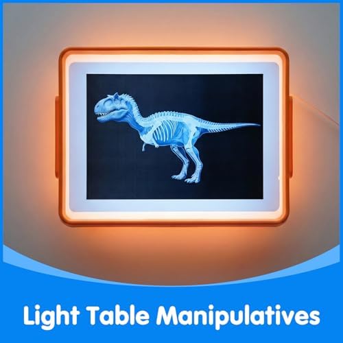 15 Pcs Dinosaur Xrays & Creatures Cards - Light Table Toys - Image 3