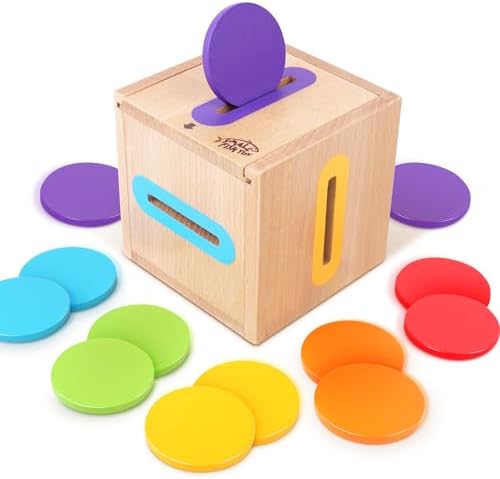 Montessori Toys for Toddlers 1-3 Color Sorting Wooden Object Permanence Box by SMALLFISH