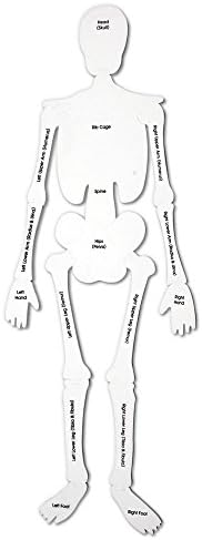 Learning Resources Skeleton Floor Puzzle - Image 2
