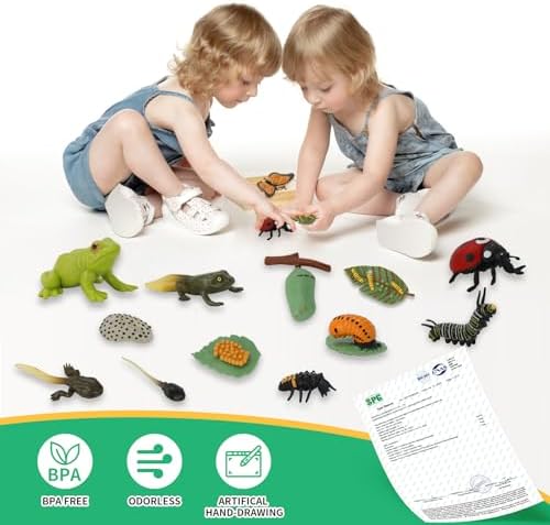 Montessori Life Cycle Learning & Education Toys - Plastic Insect Ladybug, Monarch Butterfly, and Tadpole-to-Frog Kit for Kids, Learning Activities for Early Education - Image 2