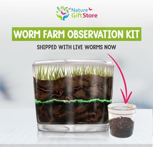 Worm Farm for Kids Kit with 20 Live Composting Worms, All-in-One Bundle - Image 2