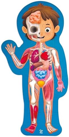 Hape Human Body Puzzle | 60 Oversized Pieces Educational Anatomy Jigsaw, Wooden Organs, for Children 4+ Years - Image 2