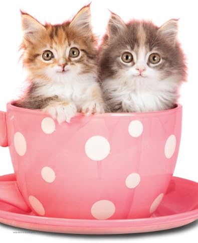 EuroGraphics Kitten in a Cup Mini Puzzle (100-Piece) by EuroGraphics